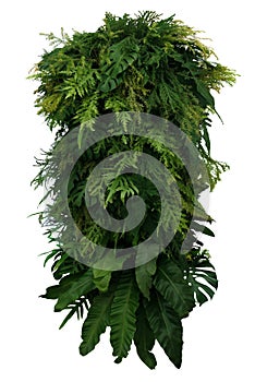 Tropical leaves foliage plant bush floral arrangement, vertical photo