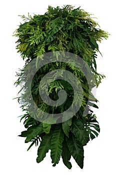 Tropical leaves foliage plant bush floral arrangement, vertical