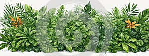 Tropical leaves foliage plant jungle bush floral arrangement nature backdrop isolated on white background, clipping path included.