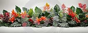 Tropical leaves foliage plant jungle bush floral arrangement nature backdrop isolated on white background, clipping path included.