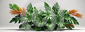 Tropical leaves foliage plant jungle bush floral arrangement nature backdrop isolated on white background, clipping path included.