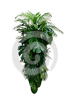Tropical leaves foliage plants bush Monstera, palm, rubber plant, pine, fern and philodendron leaves floral arrangement indoors