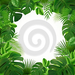 Tropical Leaves Frame Composition