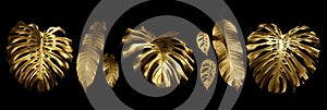 Tropical leaves frame in gold and black