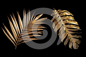 Tropical leaves gold and black, can be used as background photo