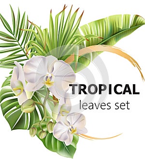 Tropical leaves greeting card with flowers and place for text