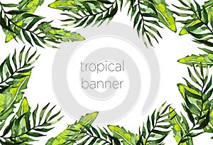 Tropical leaves horizontal banner with tropical palm leaves