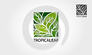 Tropical leaves logo template.