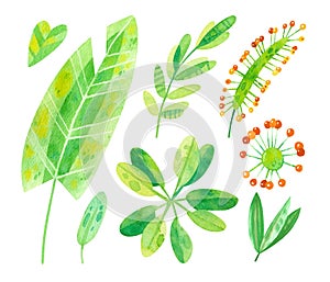 Tropical leaves mix watercolor illustrations set. Jungle watercolor drawings collection.