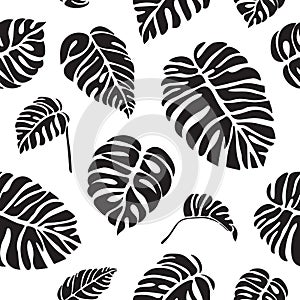 Tropical leaves monstera black and white seamless pattern.