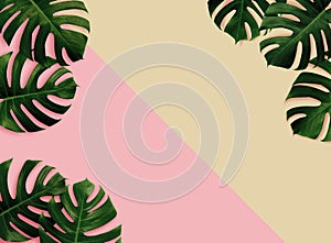 Tropical leaves monstera,green leaf with shadow on pink,sand color background.Flat lay,top view pastel color illustration tropical