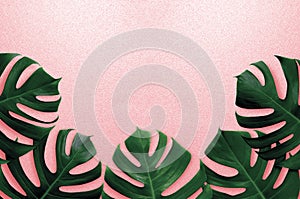 Tropical leaves monstera,green leaf,shadow on pink summer background.Flat lay,top view pastel color illustration tropical exotic l