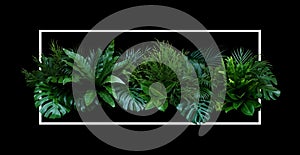 Tropical leaves Monstera, palm, fern, pine, rubber plant foliage plants bush floral arrangement nature backdrop with white frame