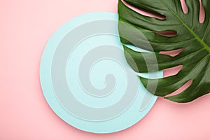 Tropical leaves Monstera on pink background. Frame, space for text