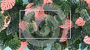 Tropical leaves Monstera on pink background. Template layout, minimal fashion summer concept art . Flat lay, top view. 3d