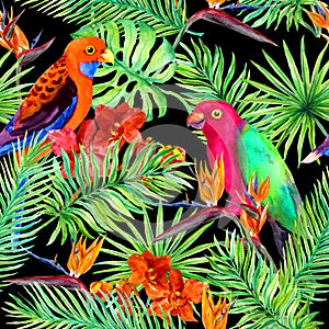 Tropical leaves, parrot birds, exotic flowers. Seamless jungle pattern on black background. Watercolor