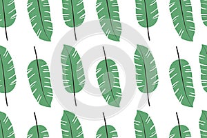 Tropical leaves pattern, jungle leaves seamless vector floral pattern