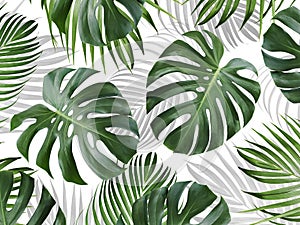 Tropical leaves pattern background design of monstera and yellow palm Summer banner