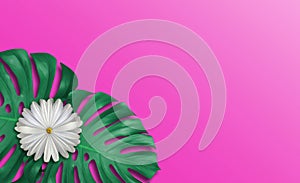 Tropical leaves pink banner