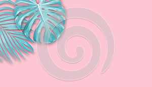 Tropical leaves on pink paper background with copy space Minimal summer banner