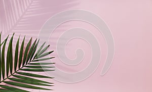 Tropical leaves is placed on a pink background with part of the leaf layout and copy space