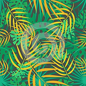 Tropical leaves. Plants vector background. Leaves of monstera, palm and other exotic plants.