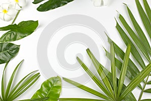 Tropical leaves and plumeria flowers on white background