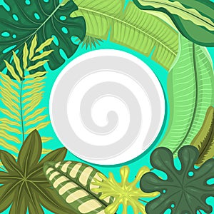 Tropical leaves round pattern vector illustration. Summer time. Amazing palms. Jungle leaves, split leaf, philodendron