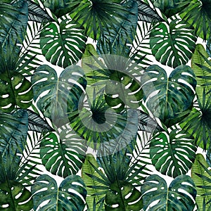 Tropical leaves seamless pattern with monstera, palm, banana, saw palmetto, calathea. Watercolor illustration