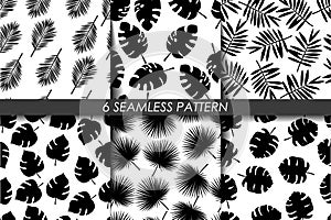 Tropical leaves. Seamless pattern set. Vector. Collection of 6 black and white repeating pattern in swatch . Black and white. Hawa