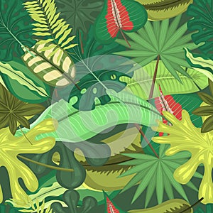 Tropical leaves seamless pattern vector illustration. Summer time. Amazing palms. Jungle leaves, split leaf