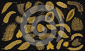 Tropical leaves set. Jungle plants in vintage style. Collection of exotic flower and elements on black background. Hand