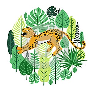 Tropical leaves and snarling leopard around the circle. Wild concept.