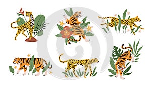 Tropical leaves with tigers, leopards and jaguars. Beautiful mini compositions with wild animals and exotic plants and flowers