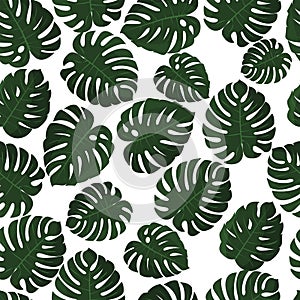 Tropical leaves. Vector. Seamless pattern in swatch. Monstera wallpaper. Exotic texture with greenery hawaiian leaf