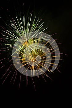 Tropical Lemon/Lime Green/Yellow Night Fireworks