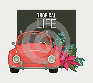 Tropical life and beach summer card