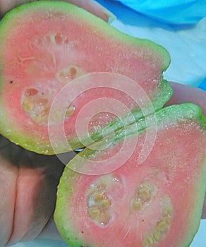 Tropical Louisiana Pink Guava fruit