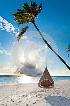 Tropical maldives beach with palm and swing
