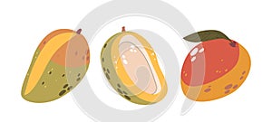 Tropical Mango Fruit Set Showcasing A Whole, A Half, And Another With A Leaf, Ideal For Projects Related To Food, Health