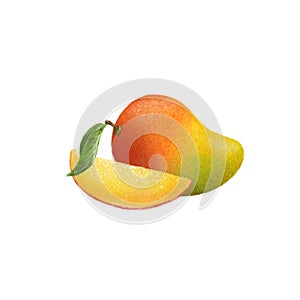 Tropical Mango juicy fruit illustration