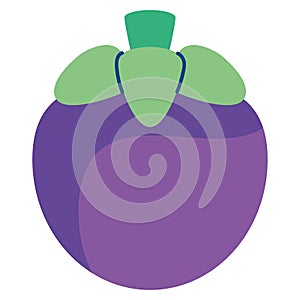 Tropical Mangosteen Fruit Vector Art