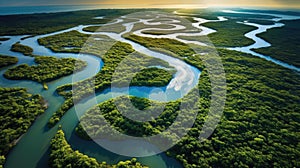 tropical mangrove forest AI generated