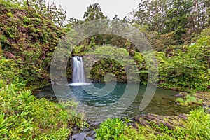 Tropical Maui Waterfall