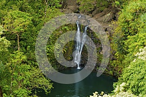 Tropical Maui Waterfall