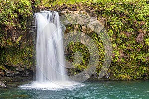 Tropical Maui Waterfall Near Hana