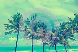 Tropical Miami Beach Palms, retro styled