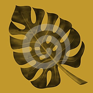 A tropical monstera leaf in a realistic manner on a mustard background