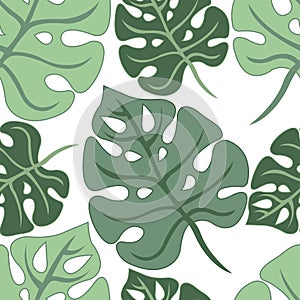 Tropical monstera leaves of different shades of green color seamless pattern on a white background. Design suitable for textile