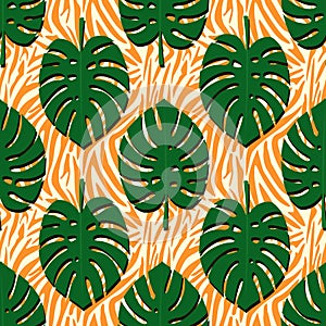 Tropical monstera leaves seamless pattern on orange zebra background.